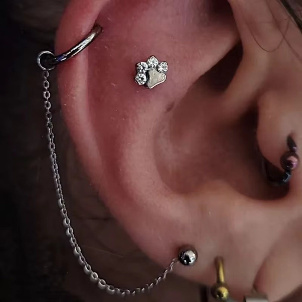 Titanium Nose Chain Three Laye – Body Jewelry Nose Bewertung und Preis