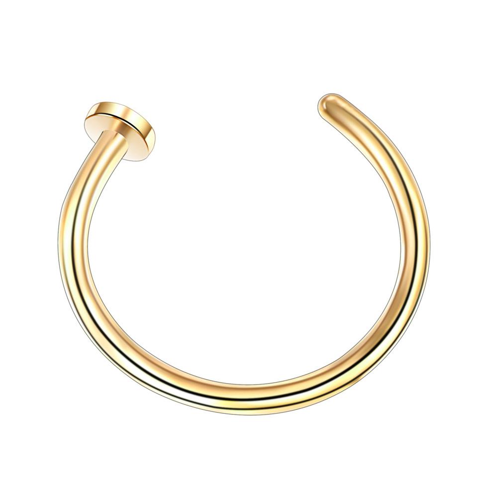 1PCS Fake Piercing Nose Hoop S – Body Jewelry Nose Bewertung und Preis