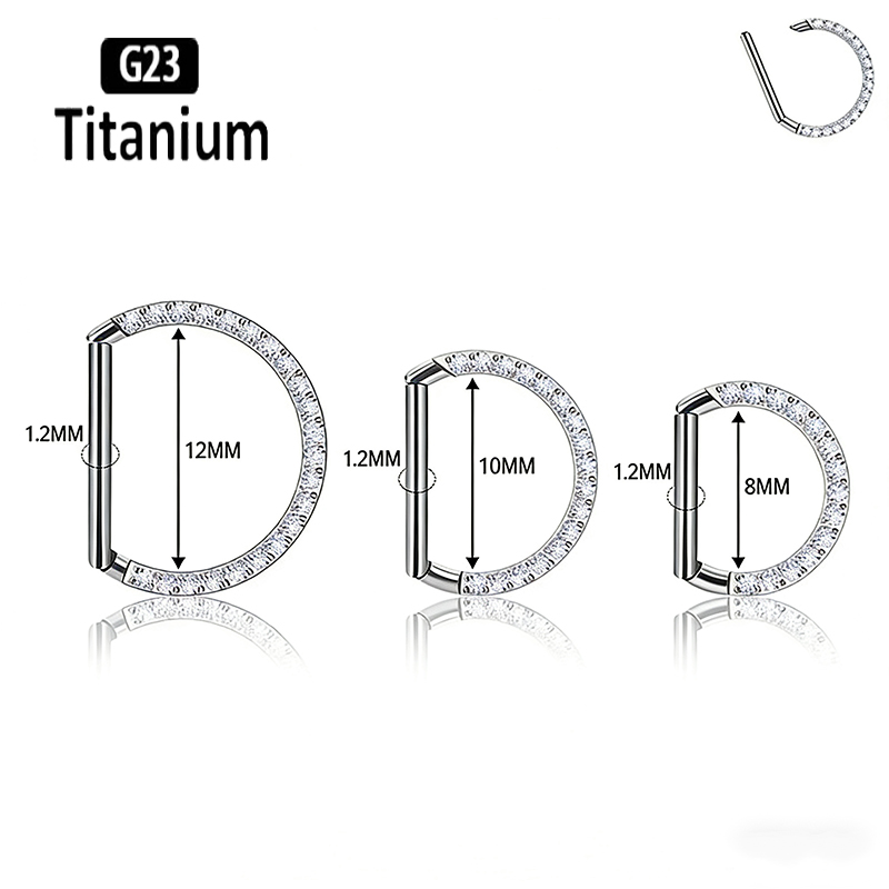 G23 Titanium Hinged Segment No – Rook Curved Barbell Bewertung und Preis