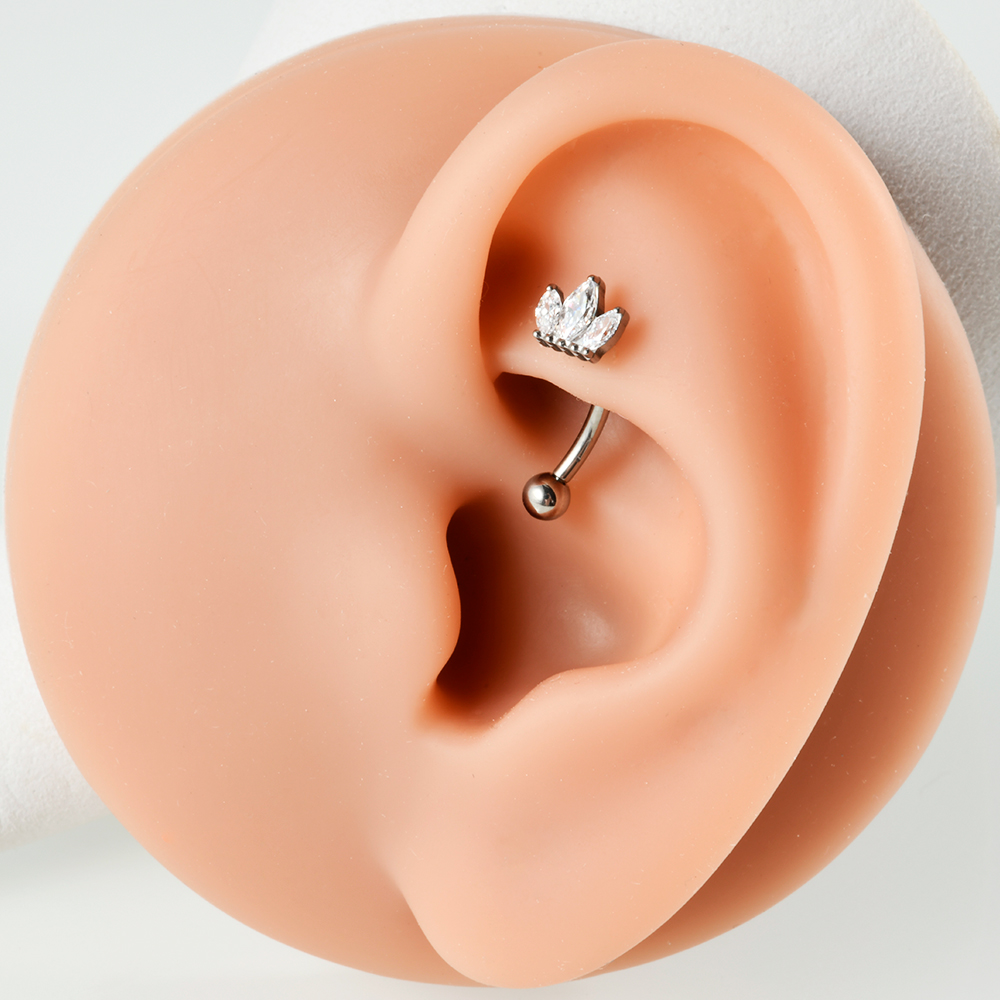 Dreamlee 1Pc G23 Titanium Rook – Rook Curved Barbell Bewertung und Preis
