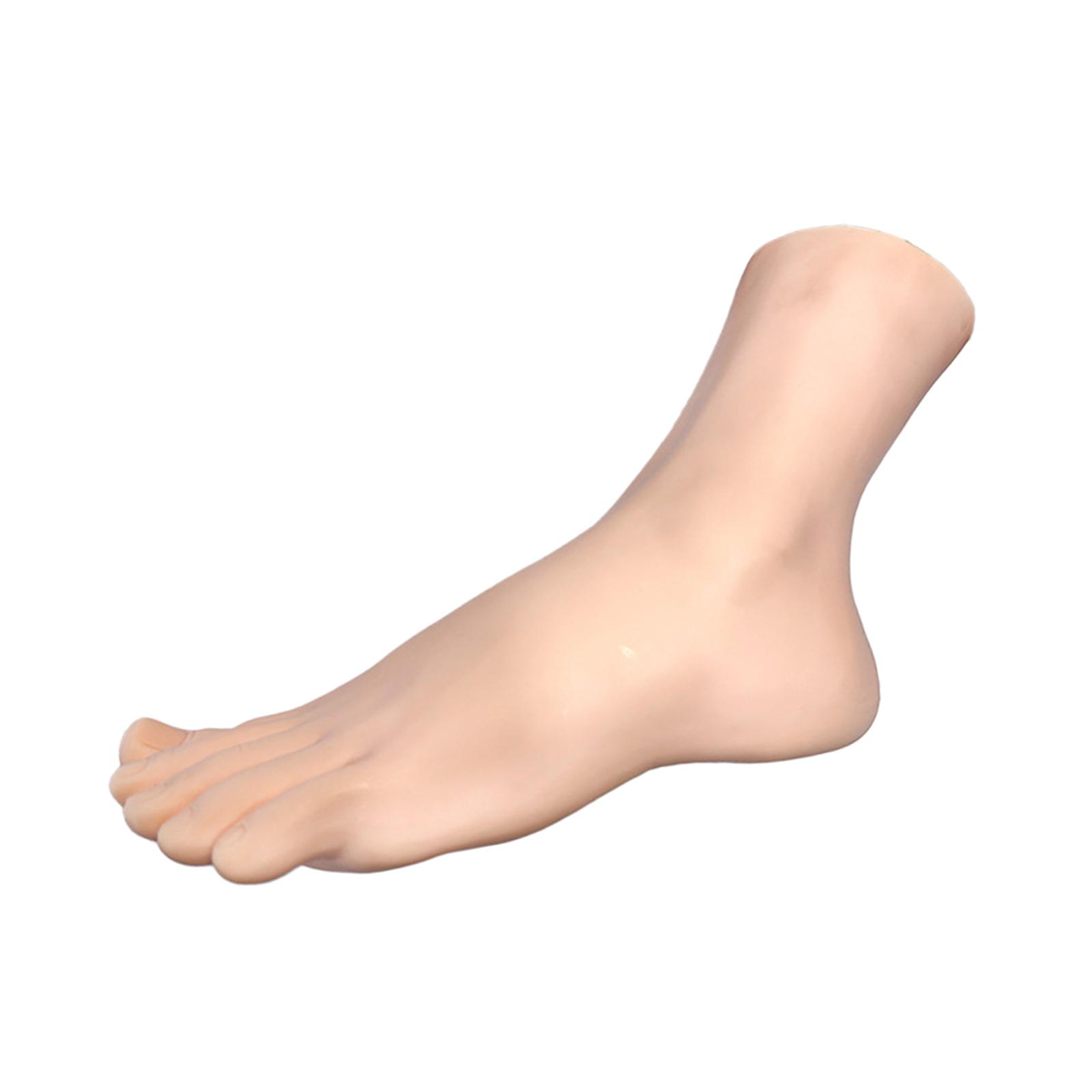 Fake Foot Jewelry Display Phot – Body Jewelry Mall Bewertung und Preis