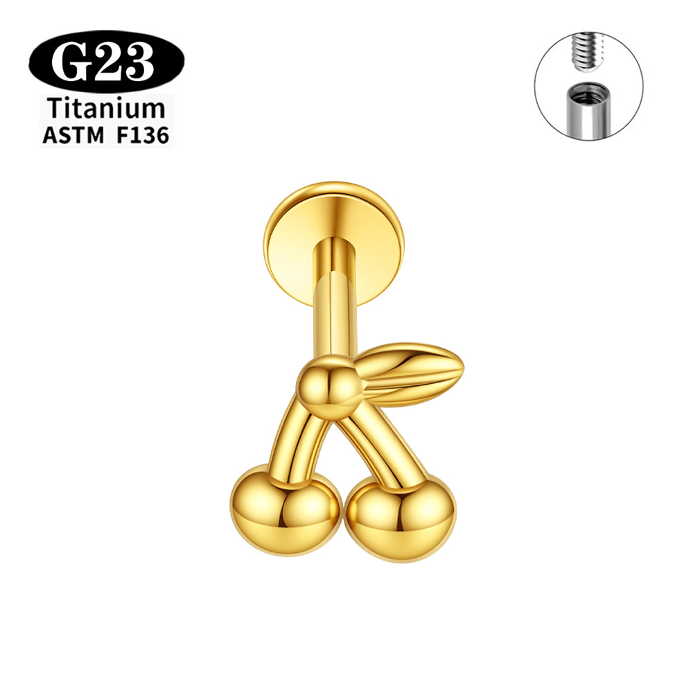 Implant Grade ASTM F136 Titani – Body Jewelry Implant Grade Bewertung und Preis