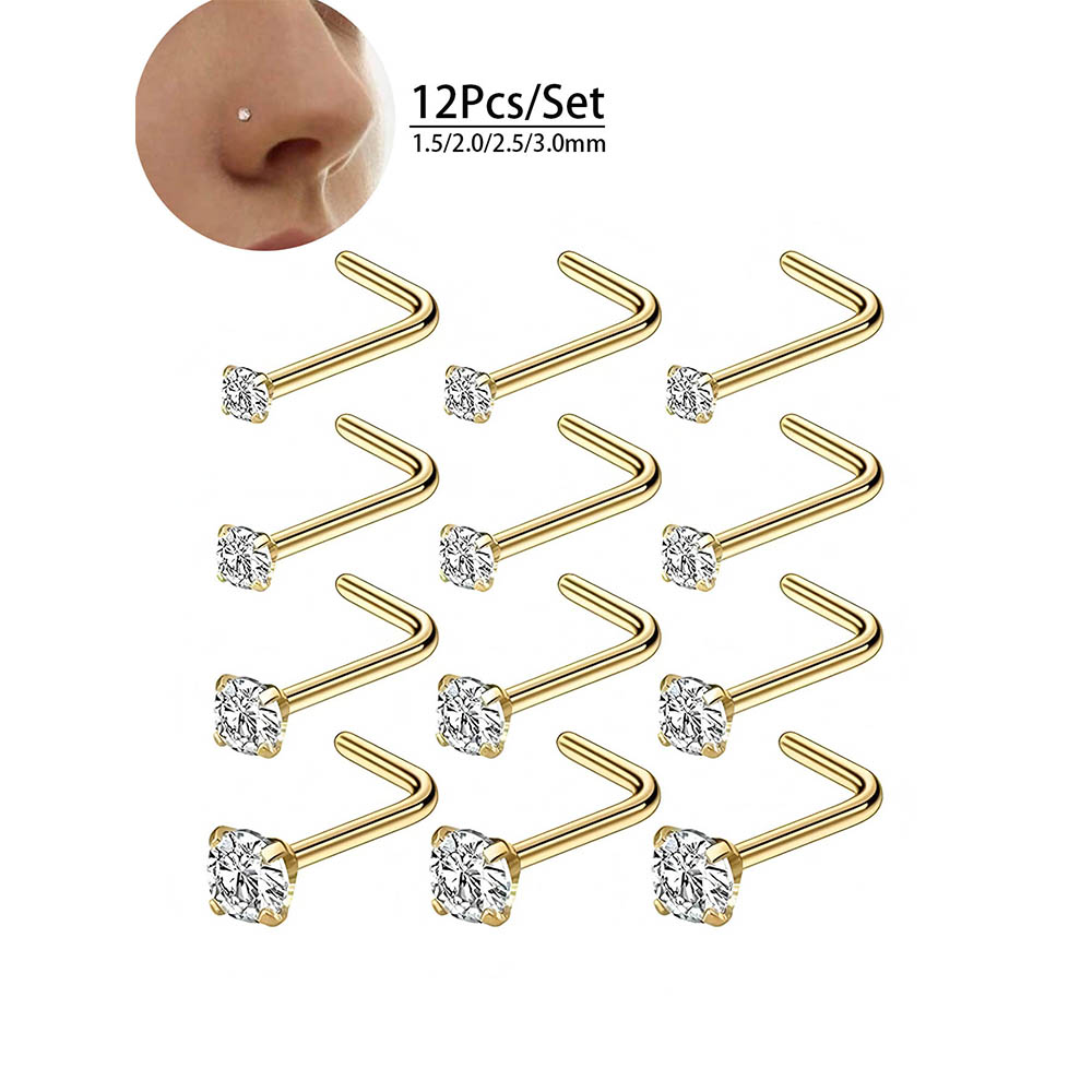 12-Piece Full Set 316L Hypoall – Body Jewelry Nose Bewertung und Preis