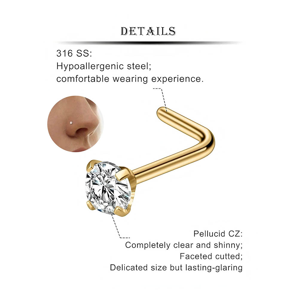 12-Piece Full Set 316L Hypoall – Body Jewelry Nose Bewertung und Preis